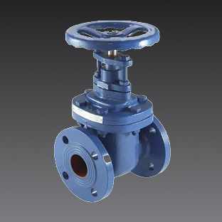 Cast Iron Gate Valve
