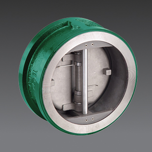 Dual Plate Check Valves
