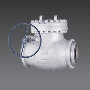 Vertical Flap Type Check Valves